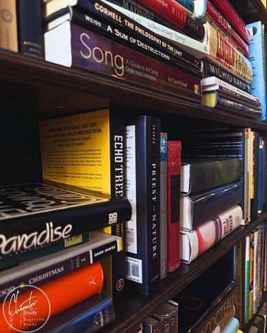Curated Bagatelle Books titles on the Character Study shelf